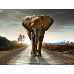 Broderie Diamant - éléphant sur route