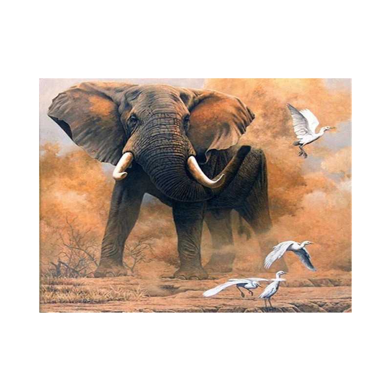 éléphant et oiseaux