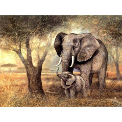 Broderie Diamant - elephant et elephanto