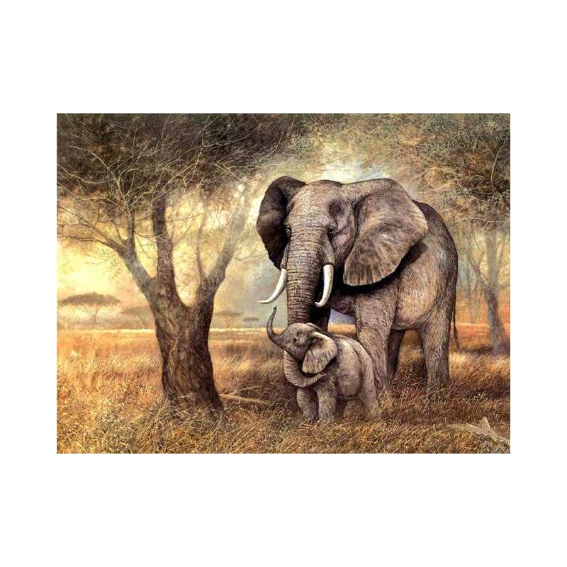 elephant et elephanto