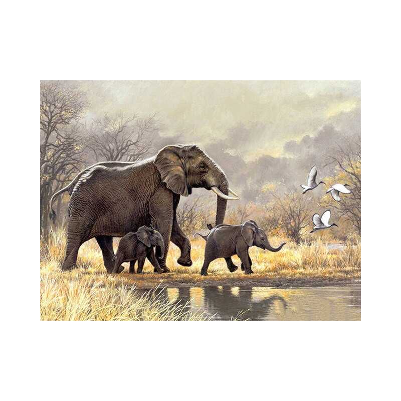 famille elephants