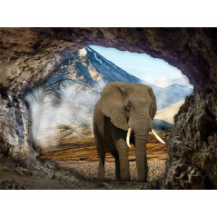 Broderie Diamant - elephant caverne