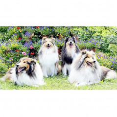Broderie Diamant - 4 chiens dans les fleurs