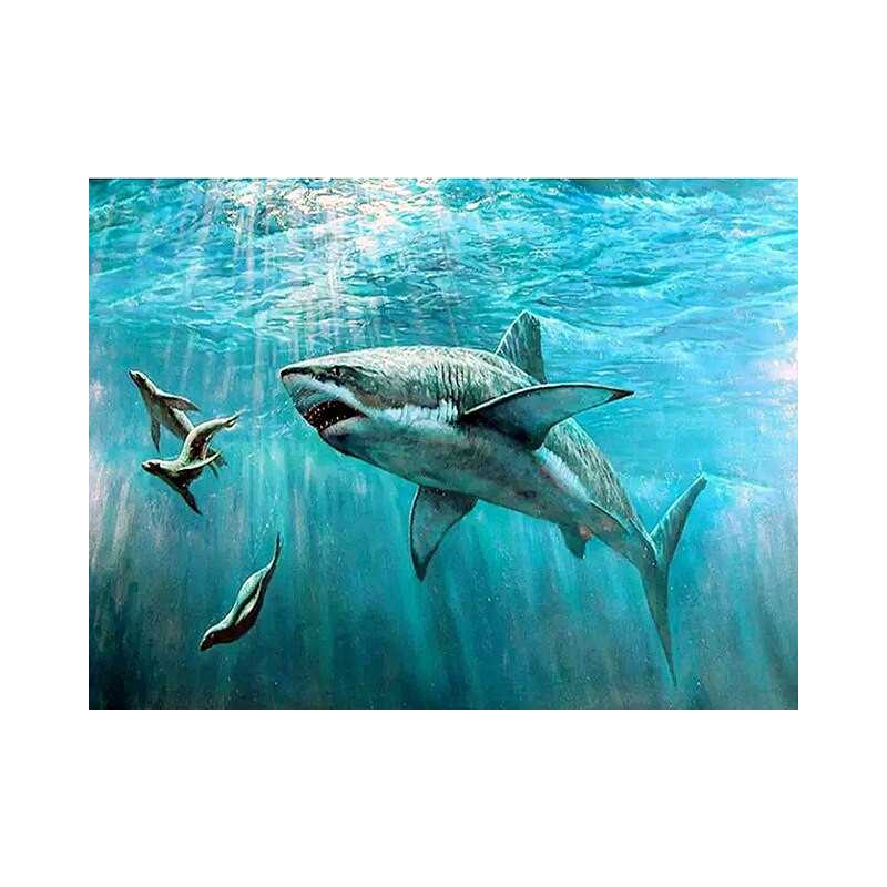 Diamond Painting -requin et phoques