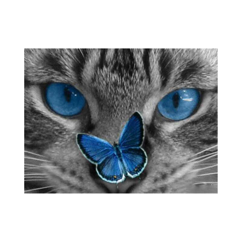 Broderie Diamant chat papillon bleu