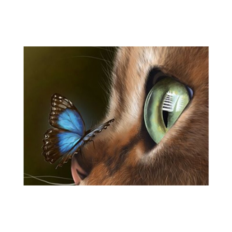 Broderie Diamant oeil de chat sur papillon