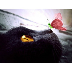 Broderie Diamant - yeux chat noir papillon