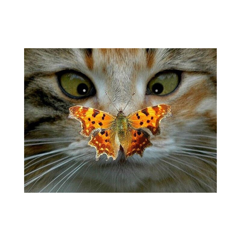 Broderie Diamant chat louchant sur un papillon