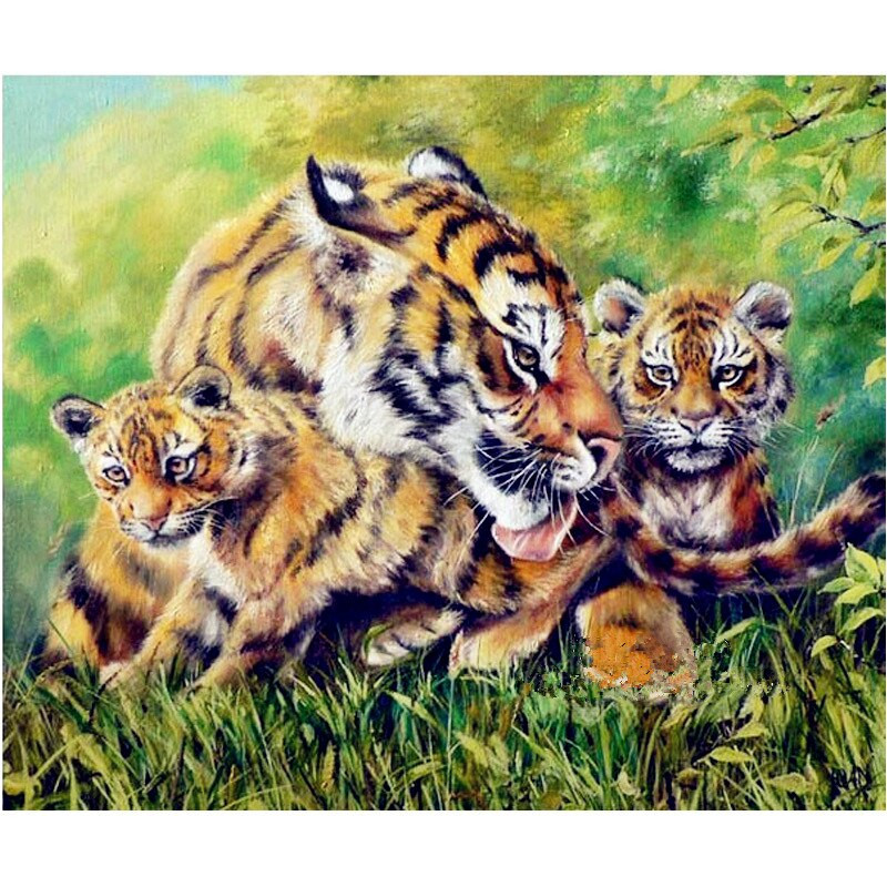 Famille de tigre