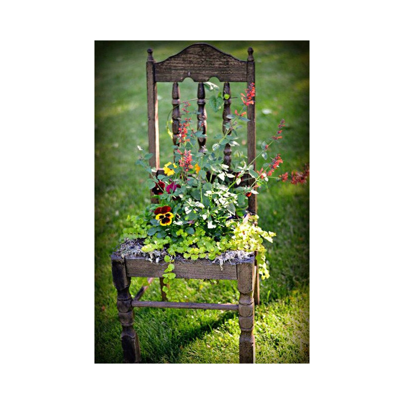 Fleurs Olga sur une chaise