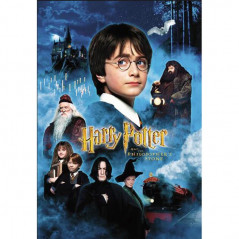 Broderie Diamant Harry Potter 5D Avec Ses Amis Poster Films