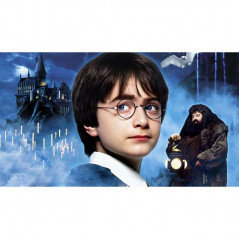 Broderie Diamant - Harry Potter Le Magicien Dans Les Nuages