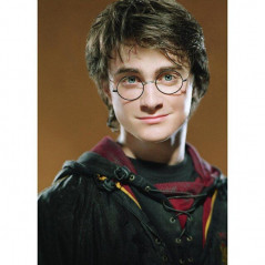 Broderie Diamant - Harry Potter Le Magicien Portrait