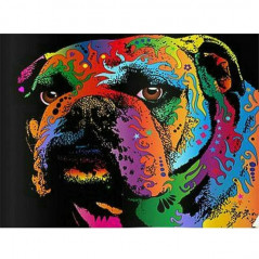 Diamond Painting -Bulldog coloré
