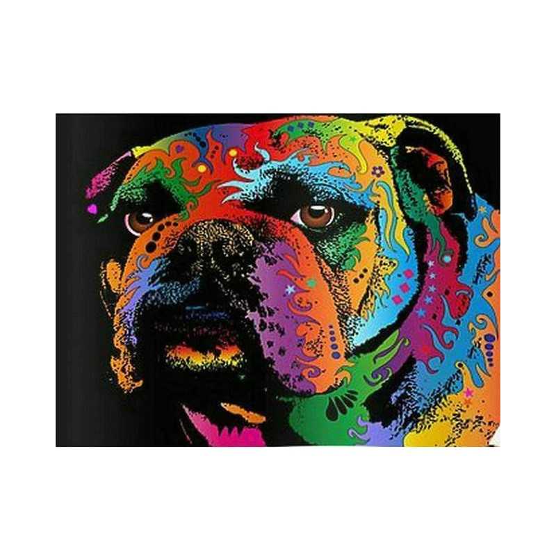 Bulldog coloré