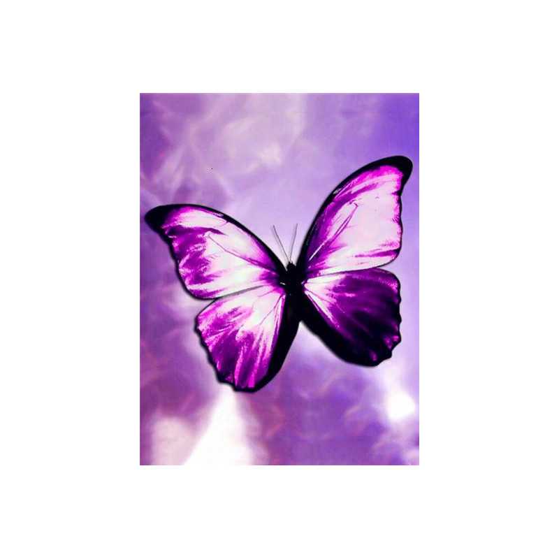 Papillon Cristal Série D