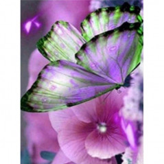 Diamond Painting - Broderie Diamant - Fleurs Et Papillon couleur 3D H