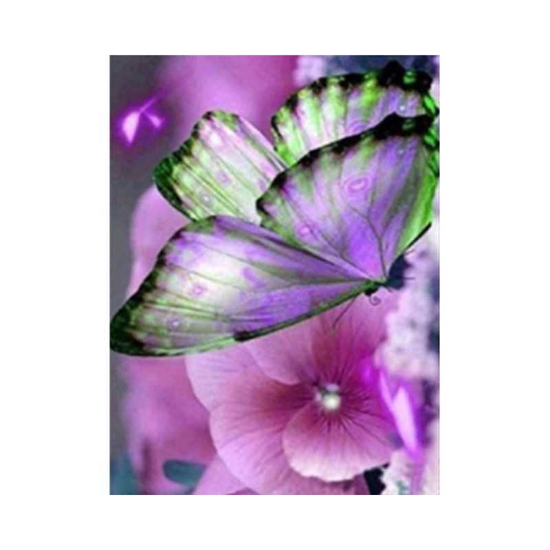 Fleurs Et Papillon couleur 3D H