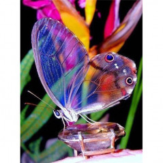 Diamond Painting - Broderie Diamant - Fleurs Et Papillon couleur 3D I