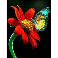Diamond Painting - Broderie Diamant - Fleurs Et Papillon couleur 3D N