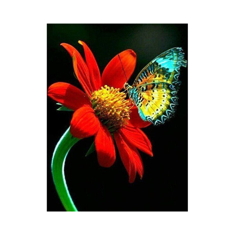 Fleurs Et Papillon couleur 3D N