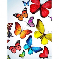 Broderie Diamant - Fleurs Et Papillon couleur 3D R