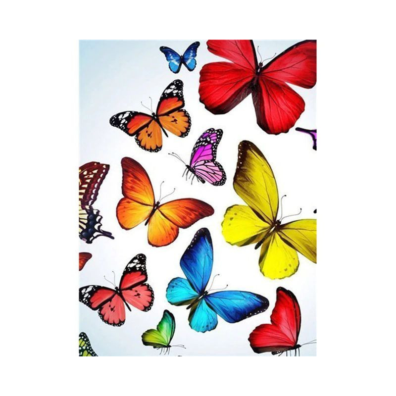 Fleurs Et Papillon couleur 3D R