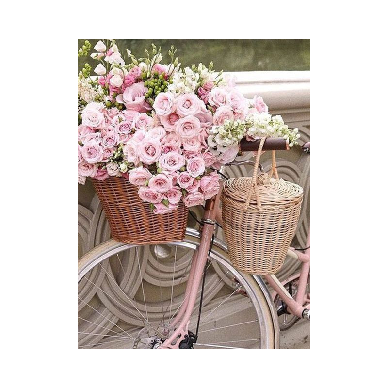 Fleurs et vélo