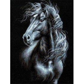 Broderie Diamant Cheval Pur-Sang Grisaille Majestueux