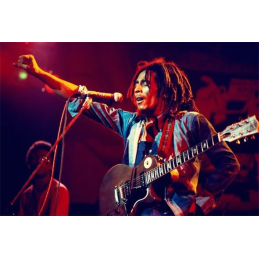 Broderie Diamant - Bob Marley En Concert