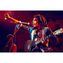 Broderie Diamant - Bob Marley En Concert